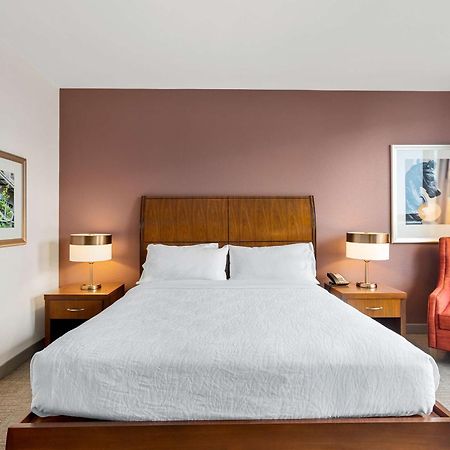 Hilton Garden Inn New Orleans French Quarter/Cbd Dış mekan fotoğraf