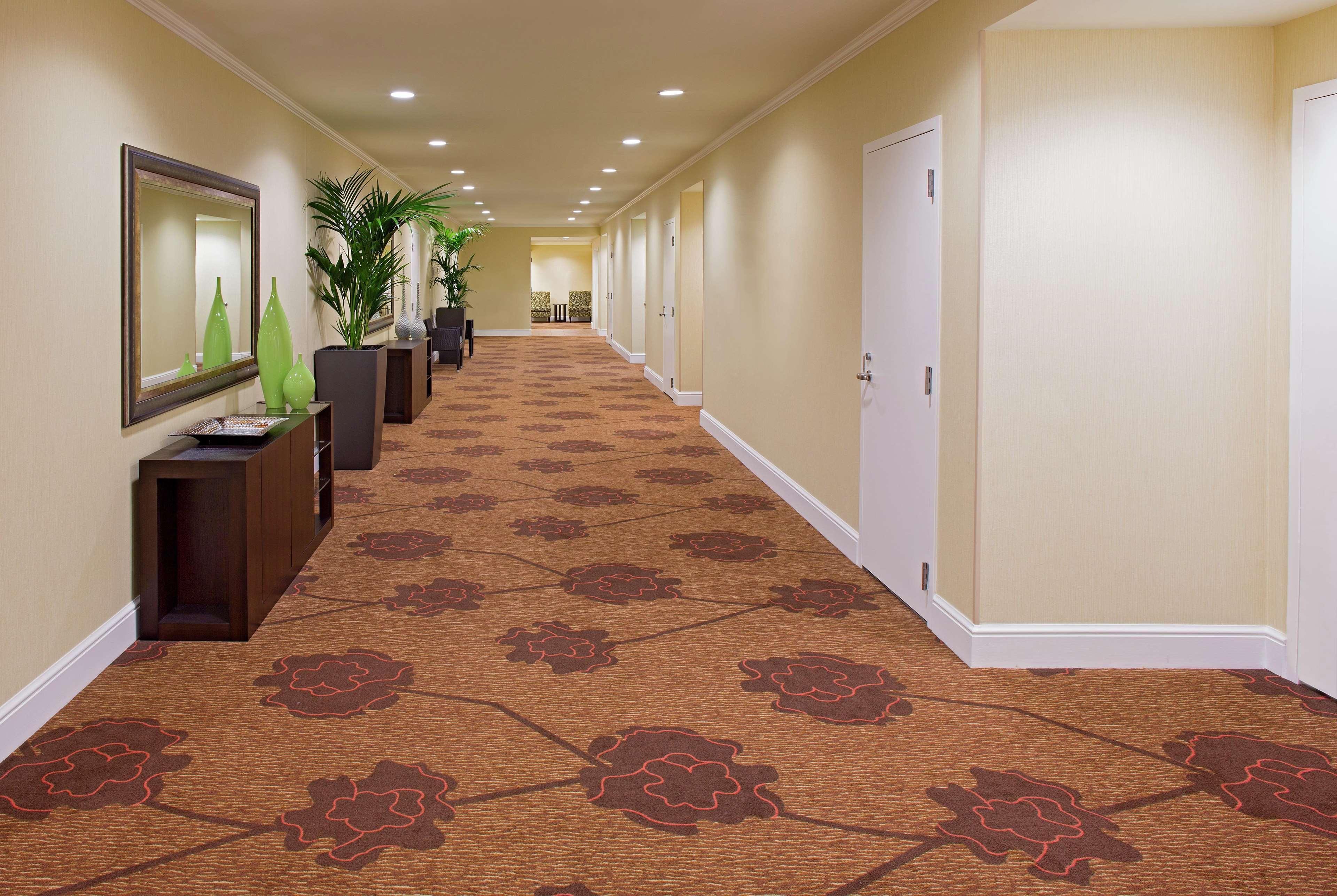 Hilton Garden Inn New Orleans French Quarter/Cbd Dış mekan fotoğraf