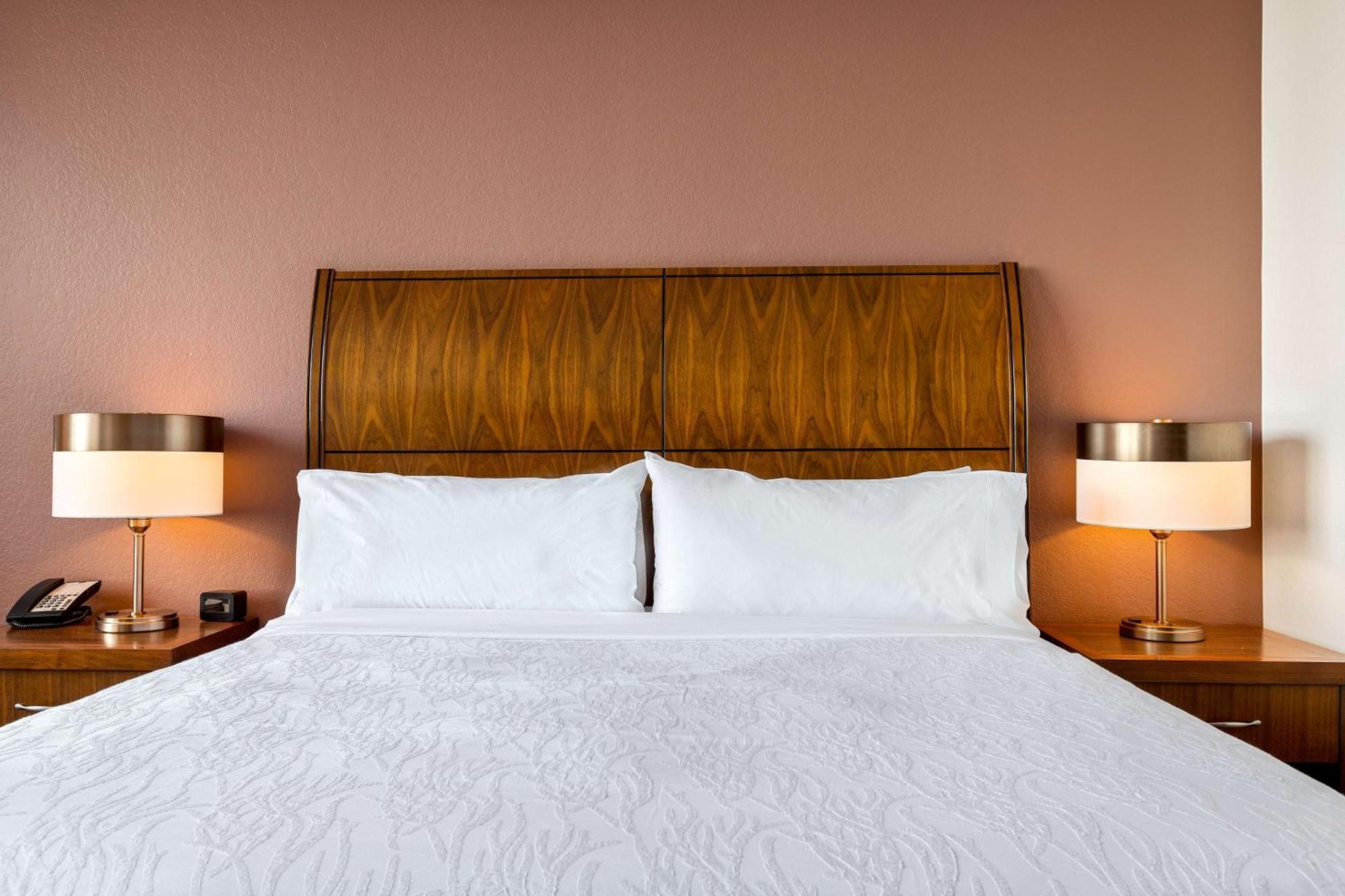 Hilton Garden Inn New Orleans French Quarter/Cbd Dış mekan fotoğraf